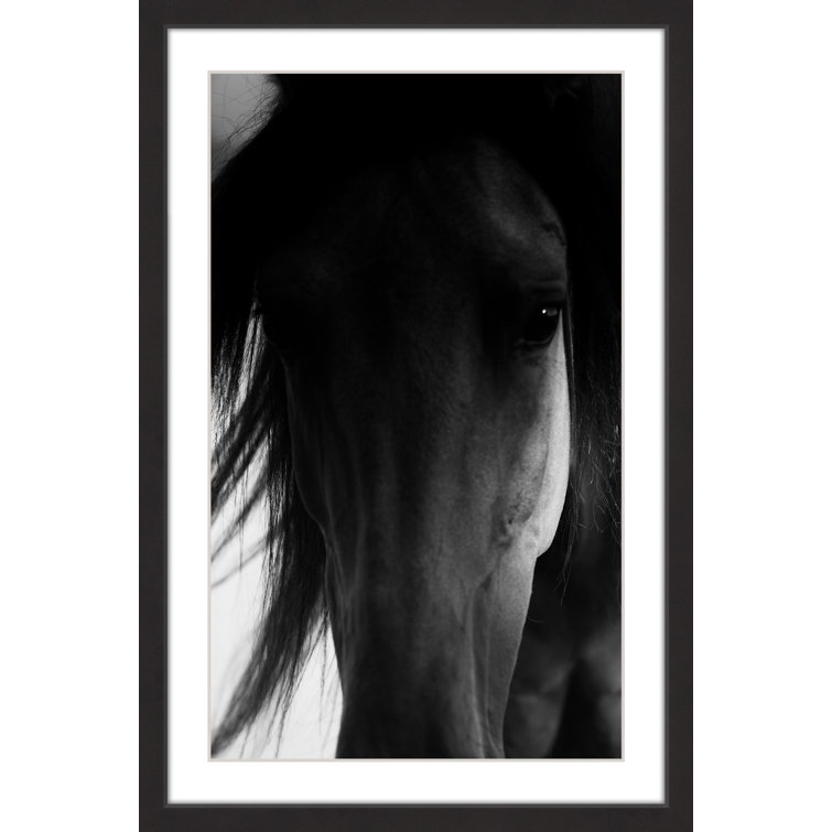 Gracie Oaks Shadow Horse Framed On Paper by Melanie Snowhite Print